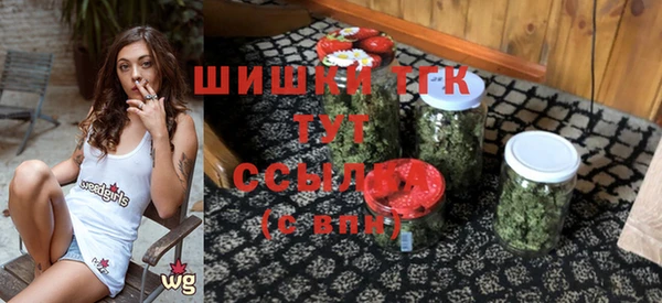 дмт Каменногорск