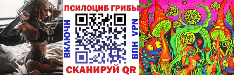 Псилоцибиновые грибы прущие грибы  дарнет шоп  Тогучин 